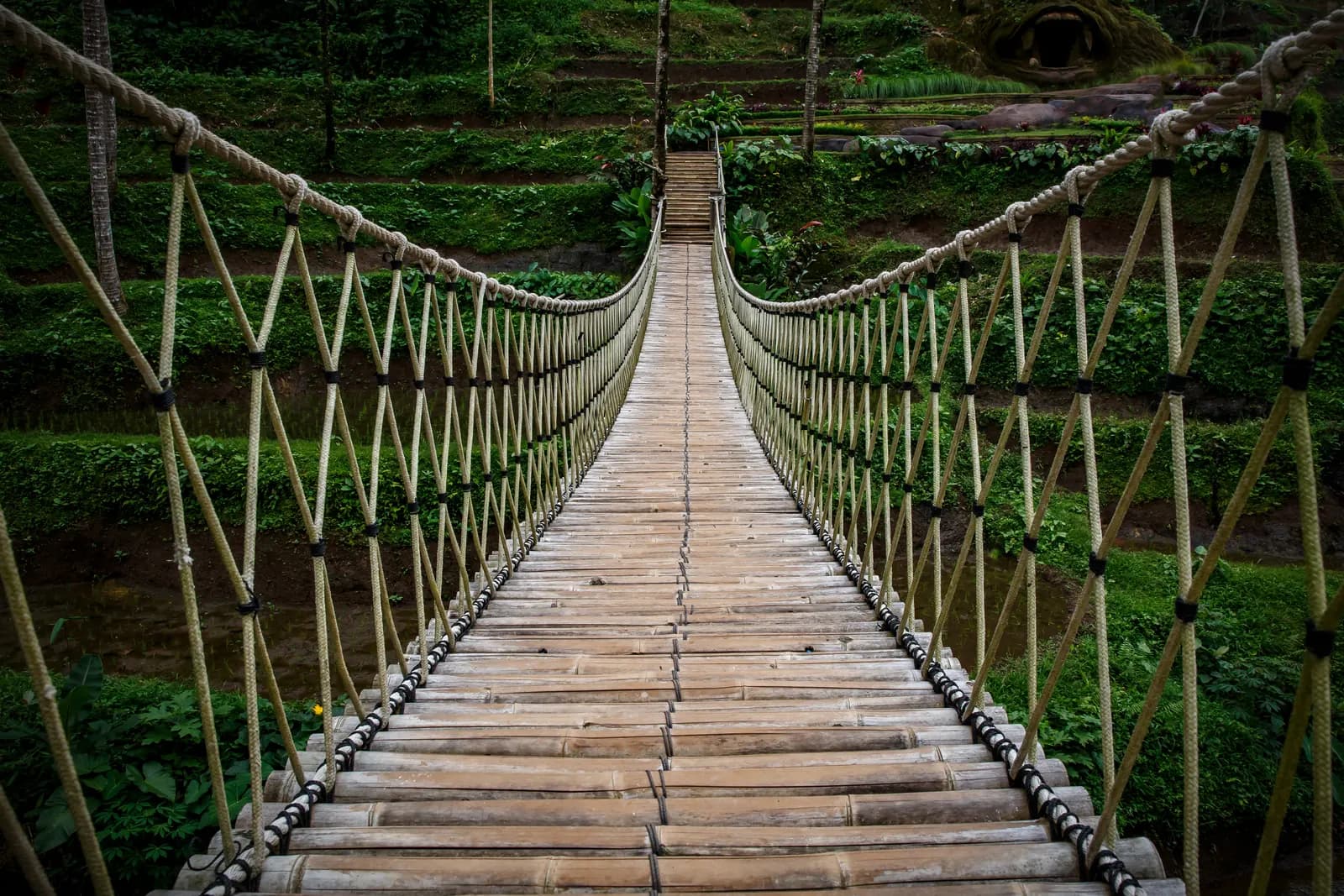 A rope and bamboo suspension bridge stretching across to a flight of steps on a green terraced hillside