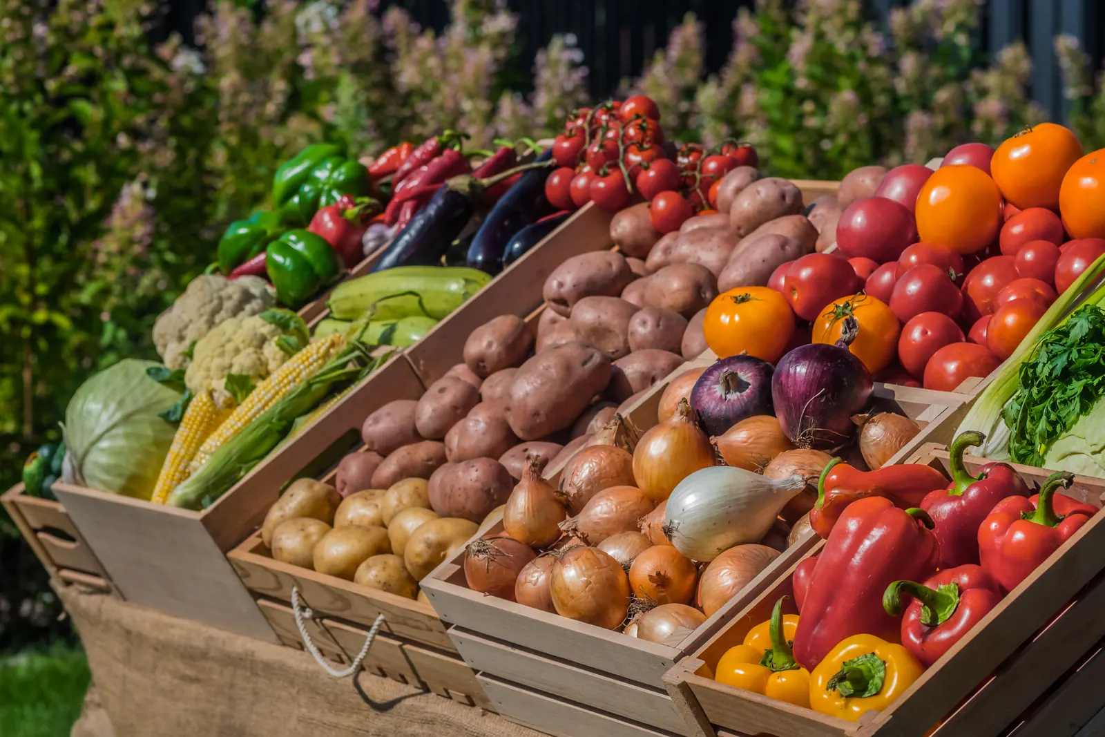 Wooden crates of potatoes, onions, tomatoes and peppers on the counter of an outdoor market stall