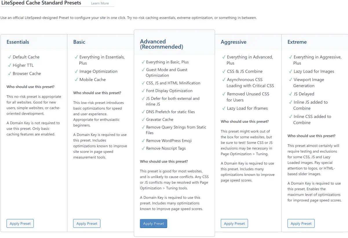 LiteSpeed Cache plugin installation Screenshot of LiteSpeed Cache preset options.